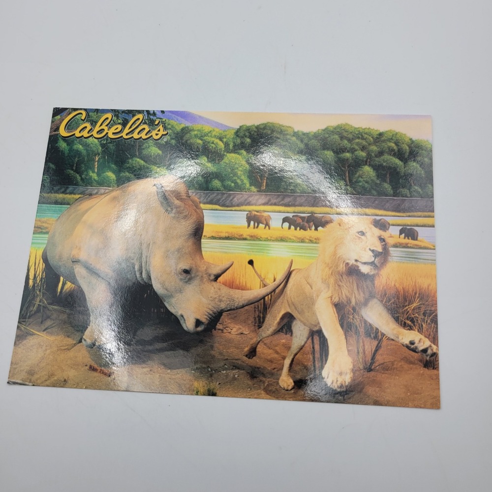 Cabelas African Rhinoceros White Rhino Lion Wildlife‎ Postcard Dundee Michigan
